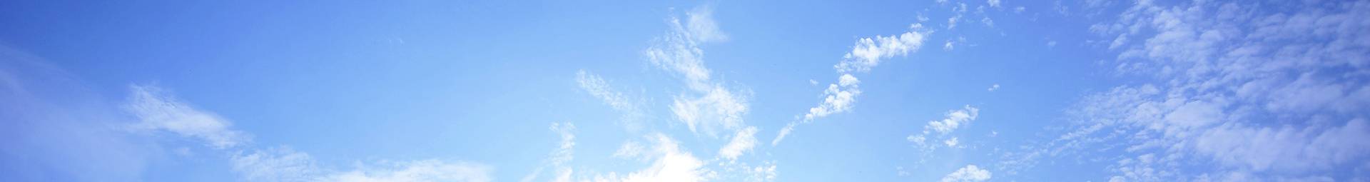 bv��������(�й�)���޹�˾�ٷ���վ