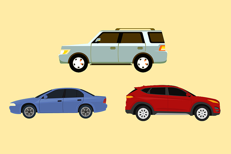 bv��������(�й�)���޹�˾�ٷ���վ